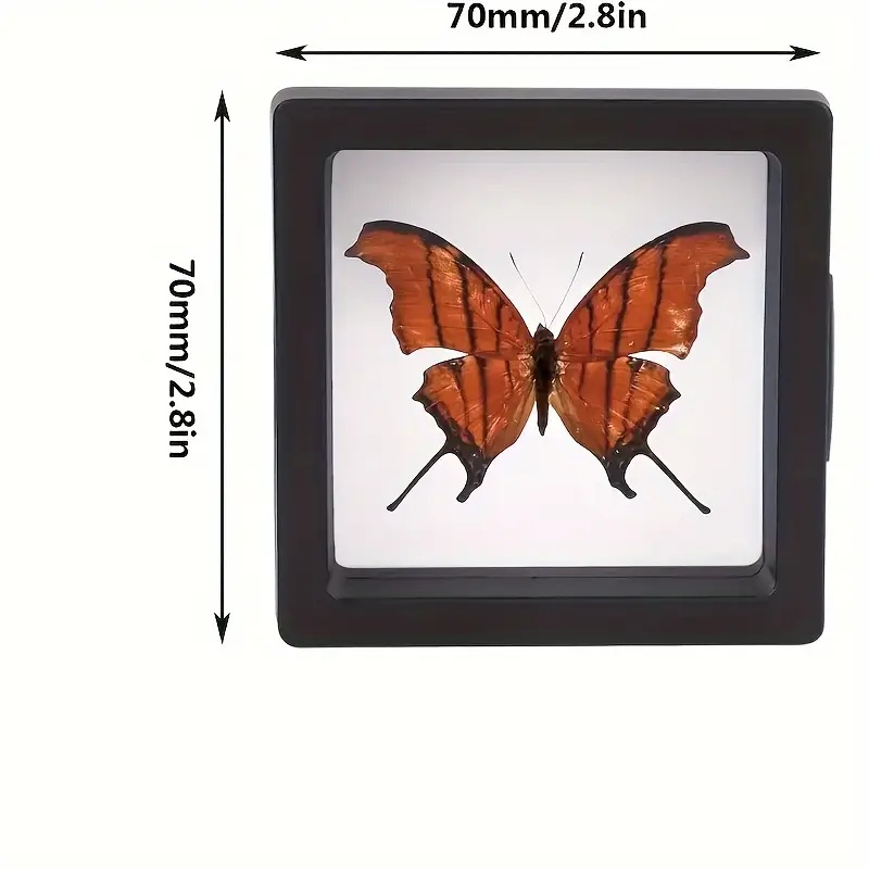 20Pcs Clearview 3D Floating Di - Display Case Acrylic recension och pris